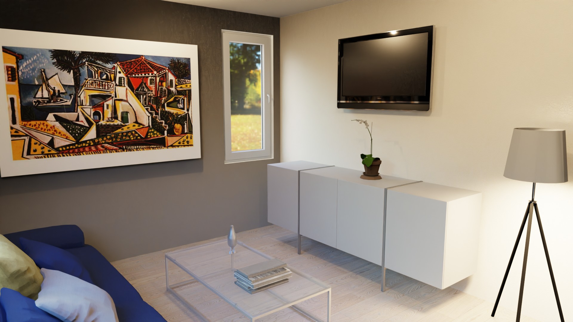 TV zone in 616 SF ADU